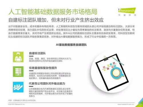 中國人工智能基礎(chǔ)數(shù)據(jù)服務(wù)行業(yè)報(bào)告 人工智能基礎(chǔ)軟件開發(fā)的動(dòng)力引擎與未來趨勢(shì)
