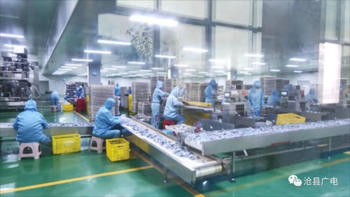 滄縣農(nóng)產(chǎn)品加工業(yè)數(shù)字化轉(zhuǎn)型研討會(huì)暨山東軟件開(kāi)發(fā)合作對(duì)接會(huì)