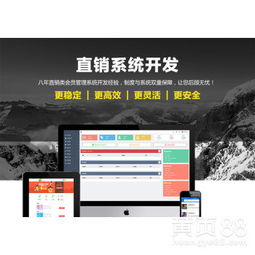 山東直銷(xiāo)管理軟件公司 引領(lǐng)企業(yè)數(shù)字化轉(zhuǎn)型的軟件開(kāi)發(fā)專家