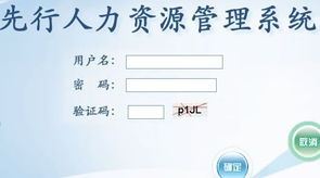 山東先行軟件信息技術(shù) 助力煙臺(tái)與山東地區(qū)軟件開(kāi)發(fā)與網(wǎng)站建設(shè)